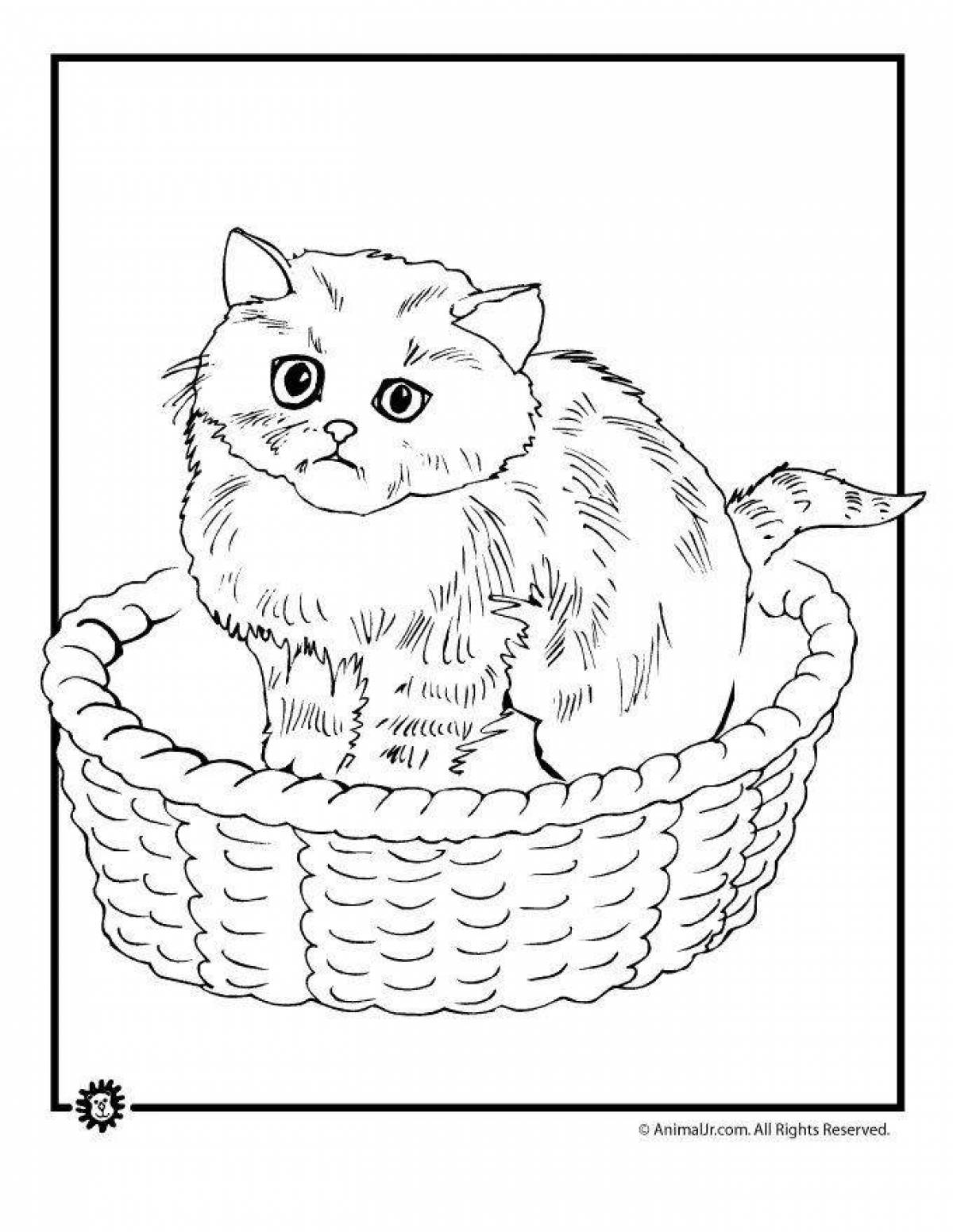 Раскраска кошка в корзинке