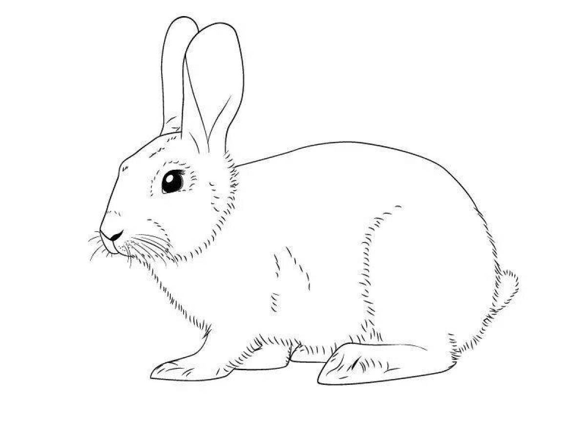 Зайчонок рисунок карандашом