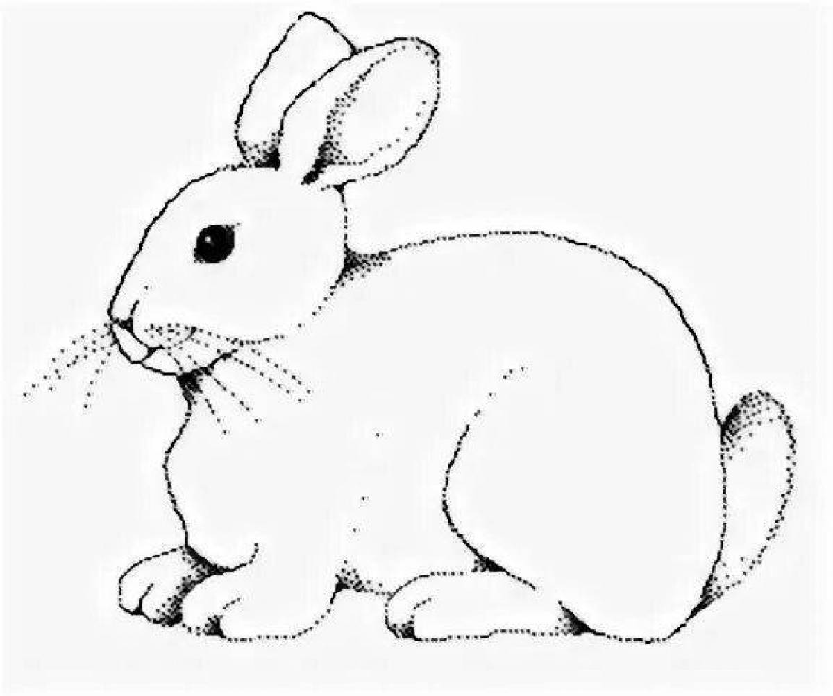 Рисунок кролик для контурной вышивки