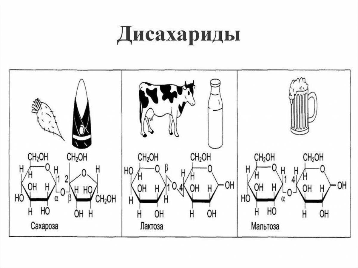 Лактоза нахождение в природе