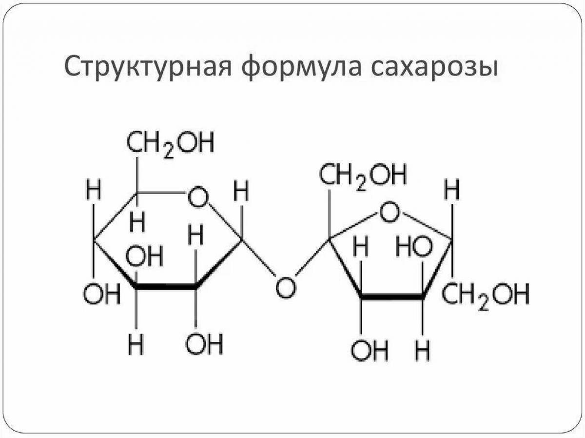 Сахароза нарисовать геншин импакт