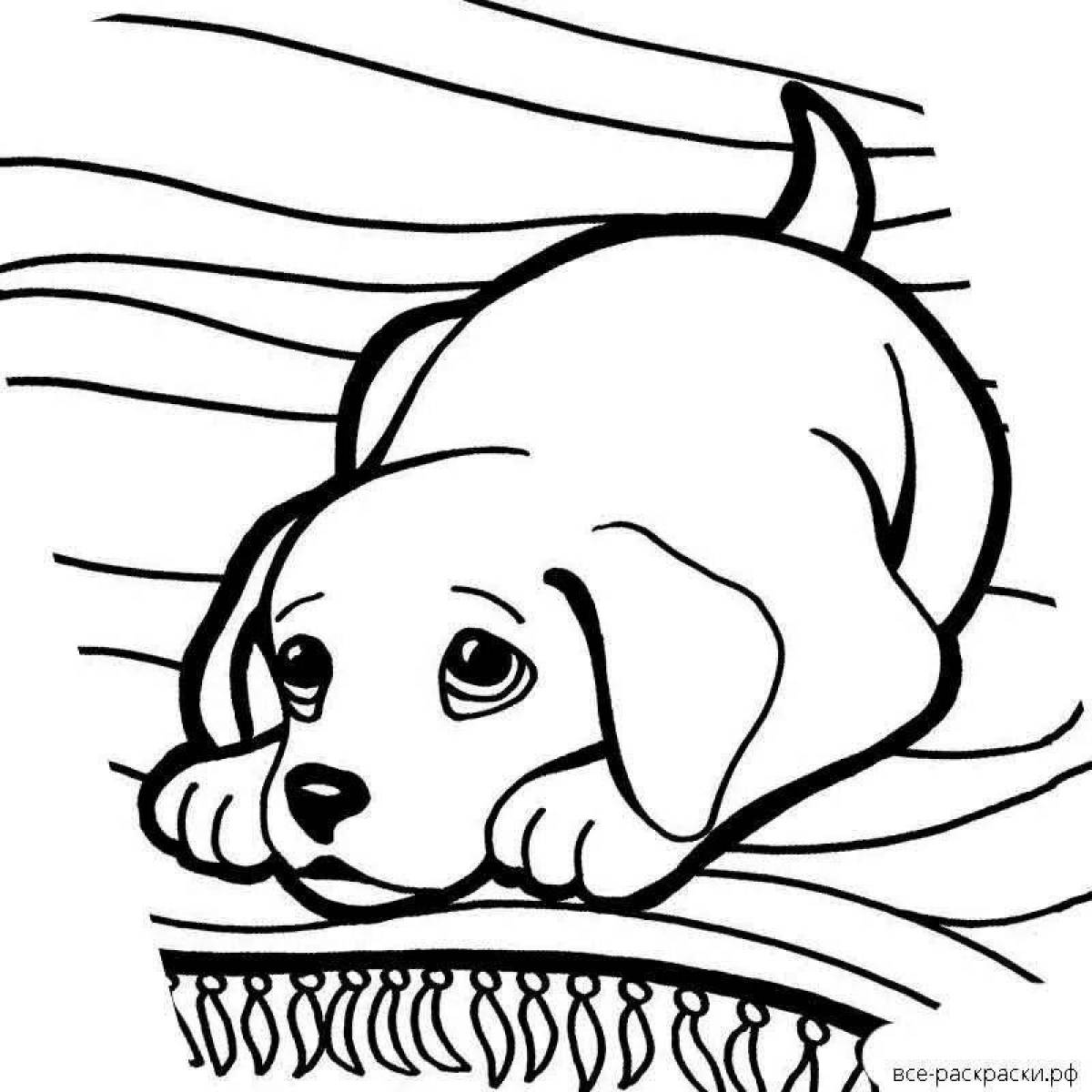 Live cute dog coloring