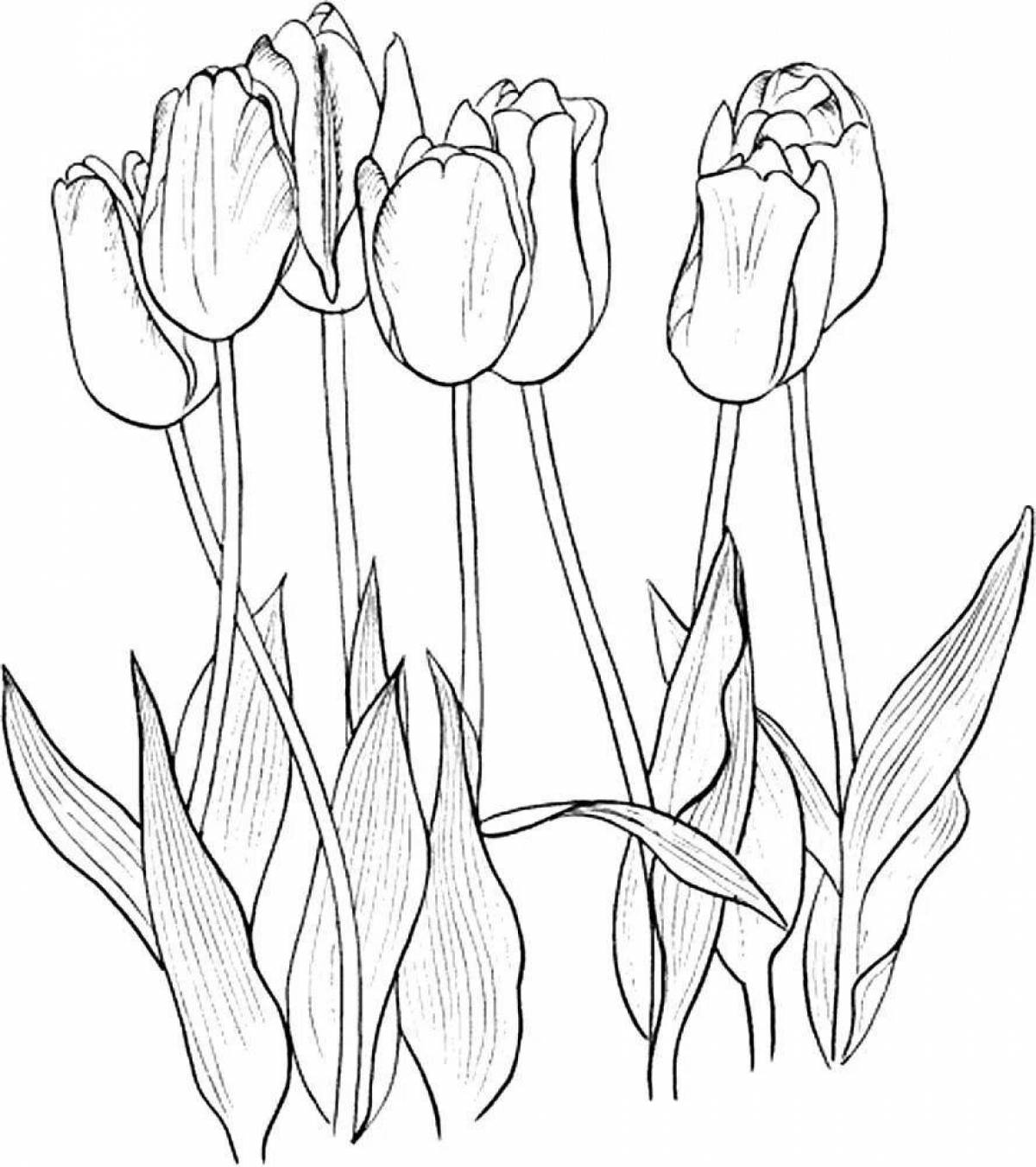 Красочная страница раскраски тюльпанов