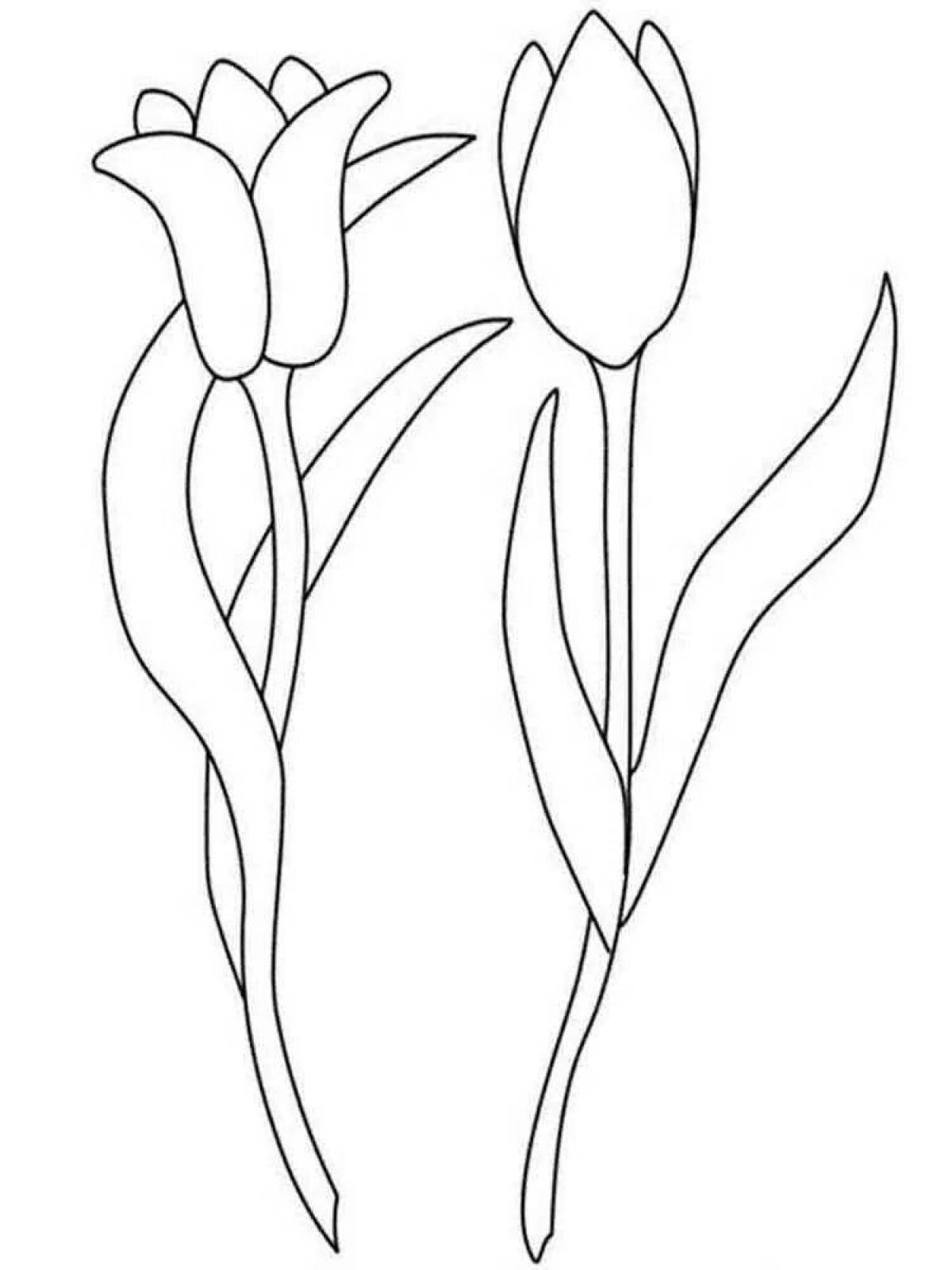 Раскраска солнечный тюльпан