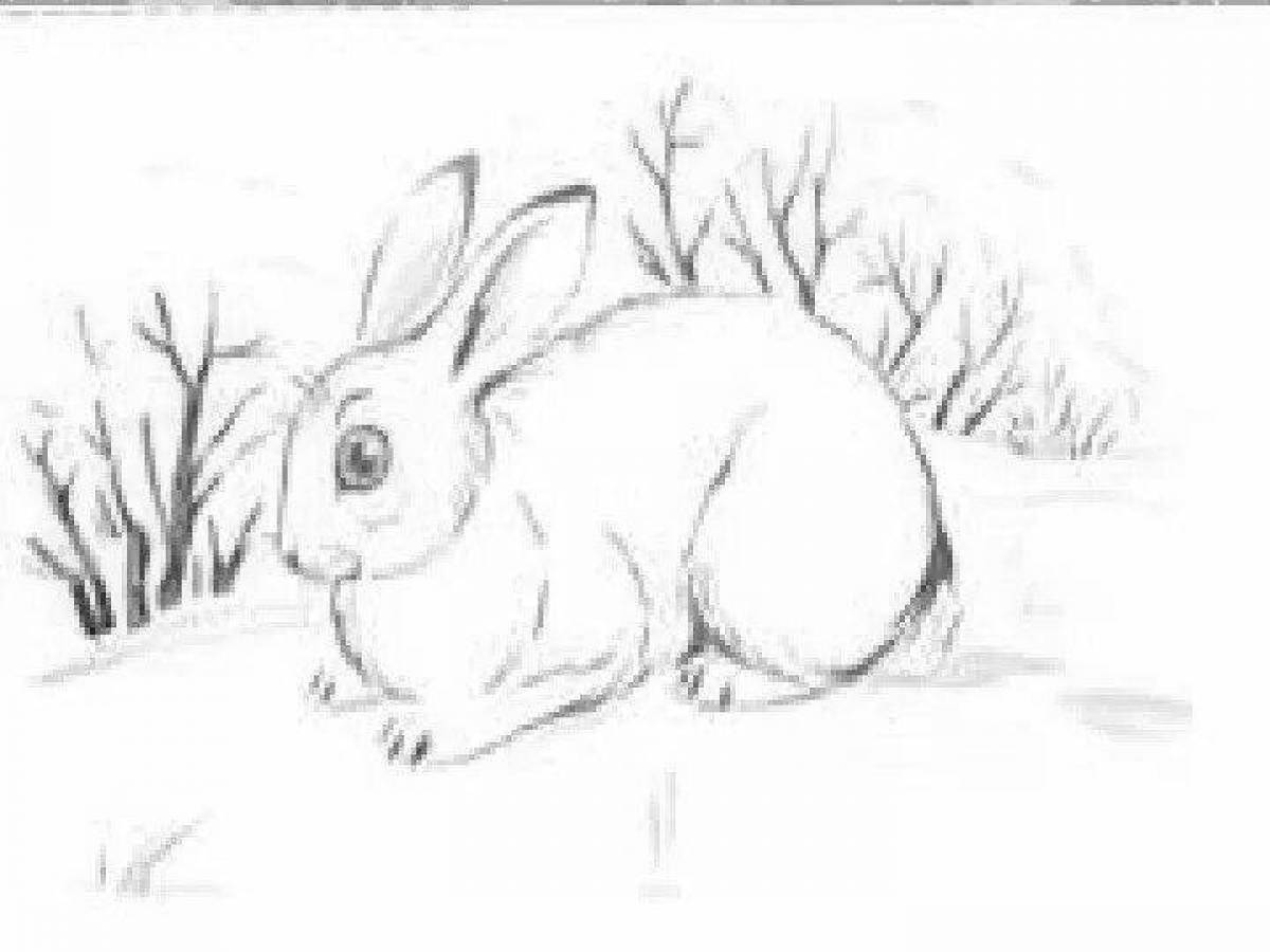 Adorable rabbit paws coloring page