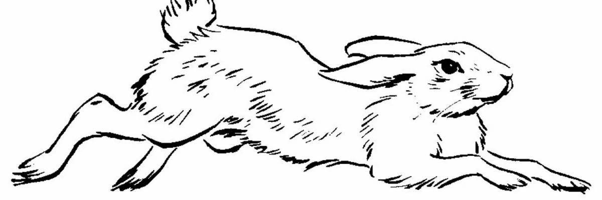 Coloring page magic hare paws