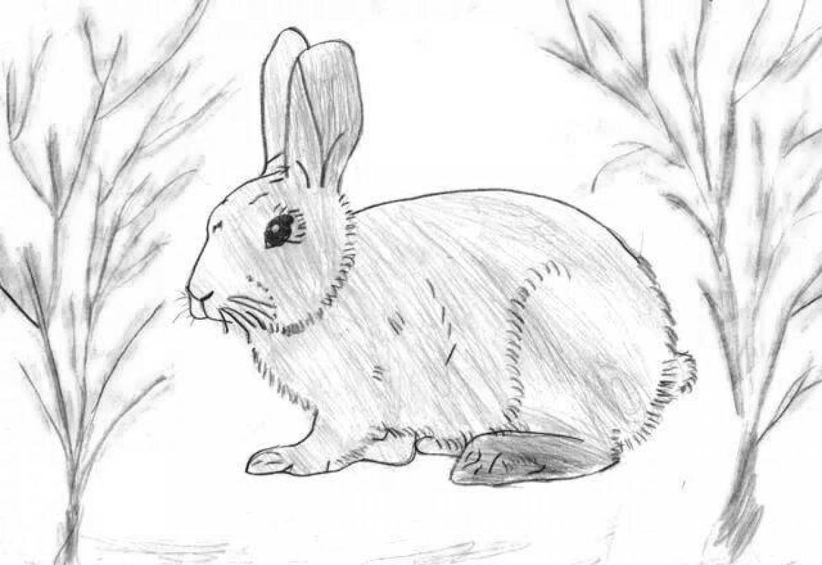 Coloring page holiday rabbit paws