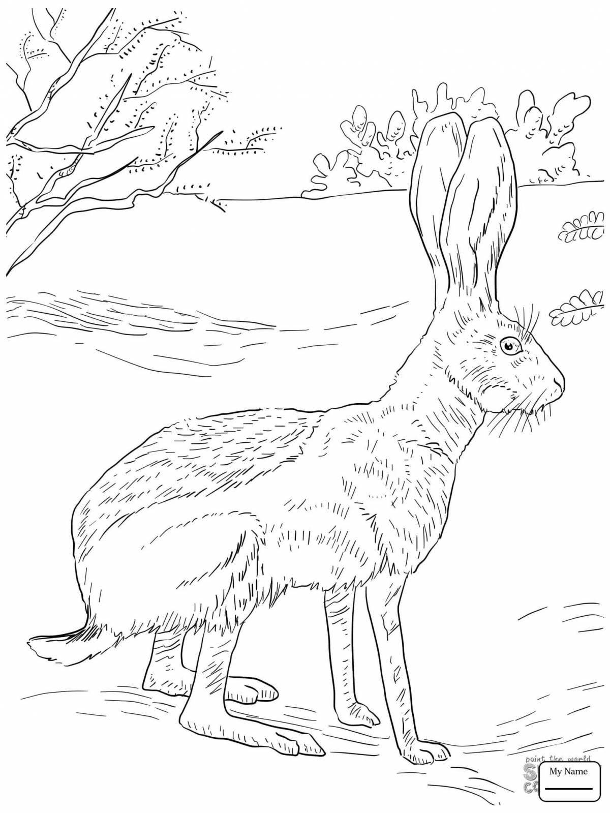 Crazy Bunny Paws Coloring Page