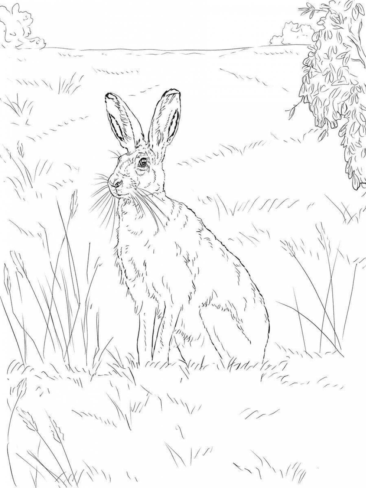 Coloring page witty rabbit paws