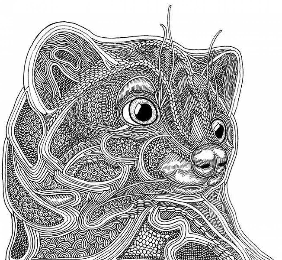 Hamster antistress coloring book