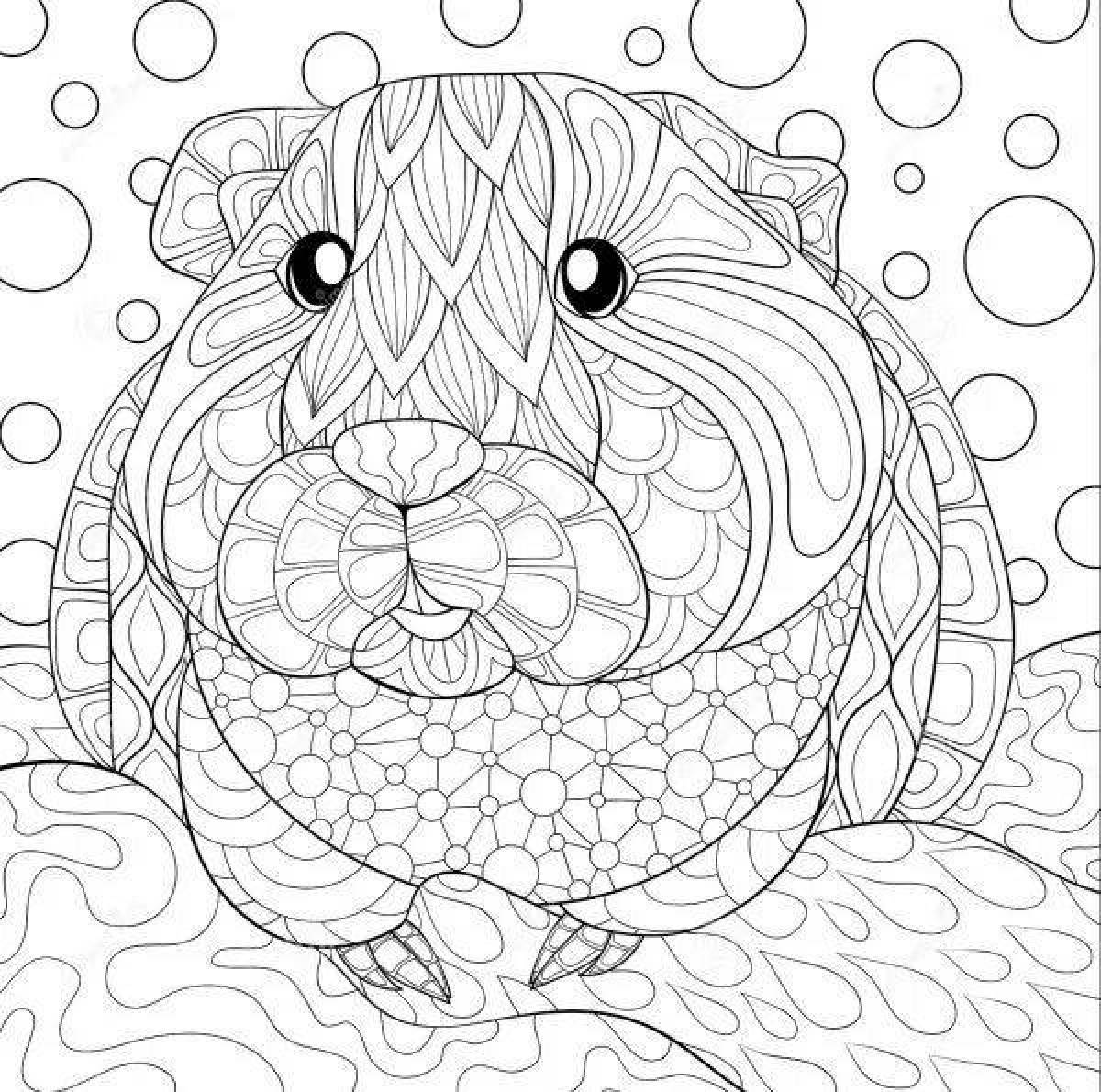 Calming coloring hamster antistress