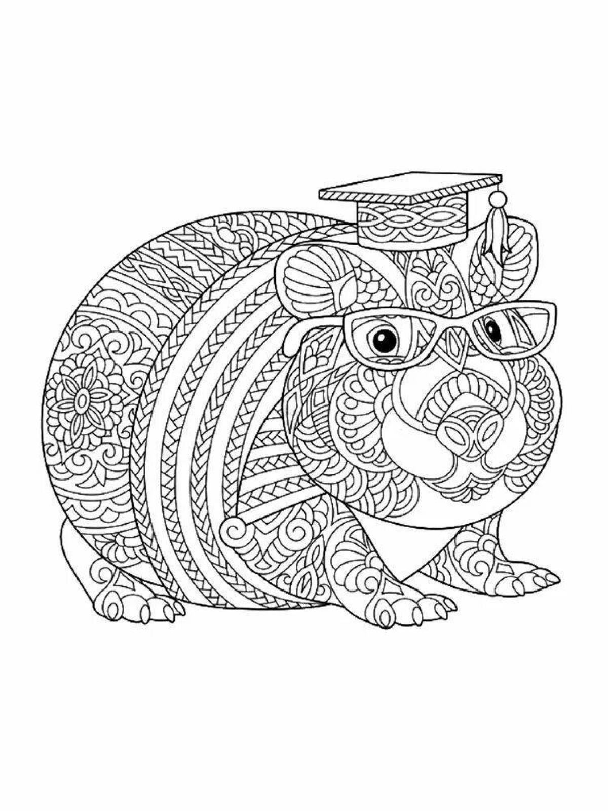 Calm coloring hamster antistress