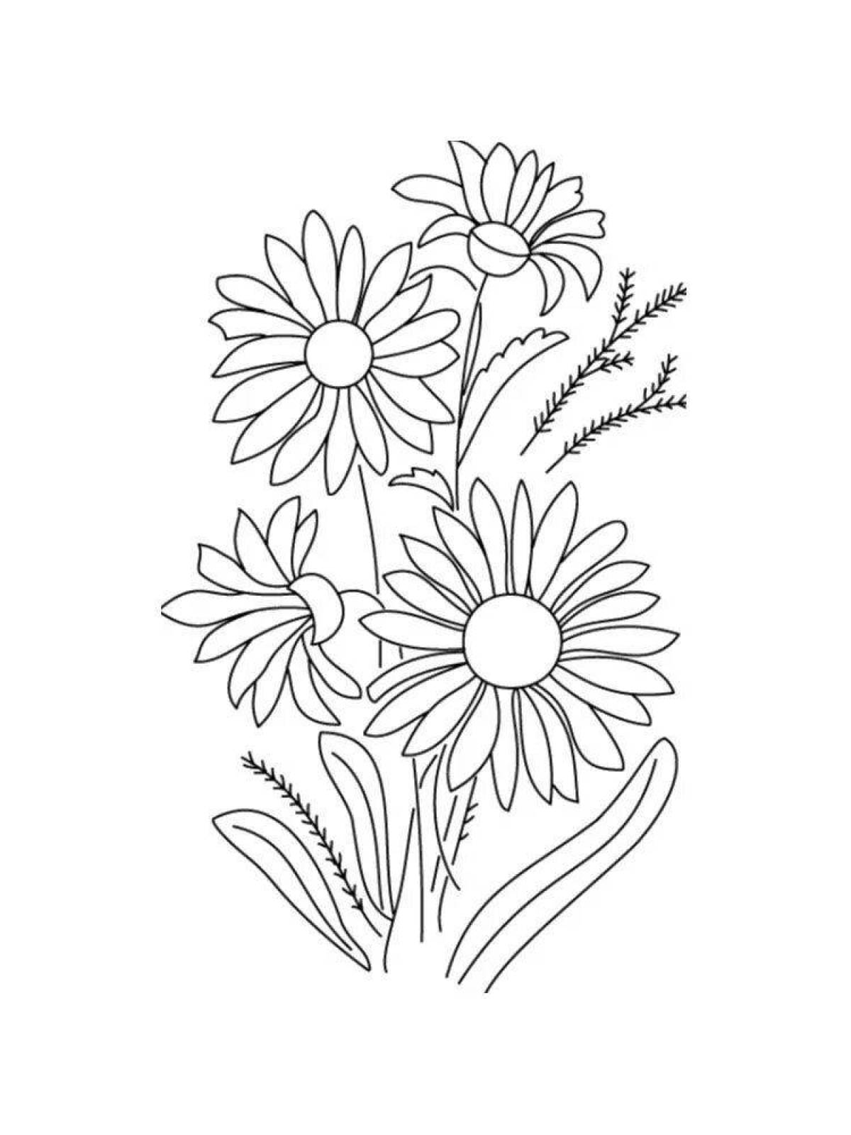 Colouring bright chamomile flowers