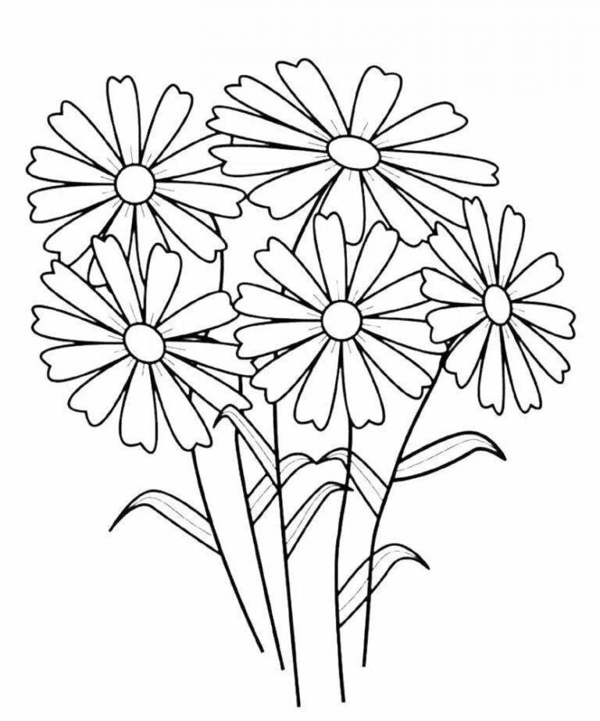 Colorful chamomile flowers coloring book