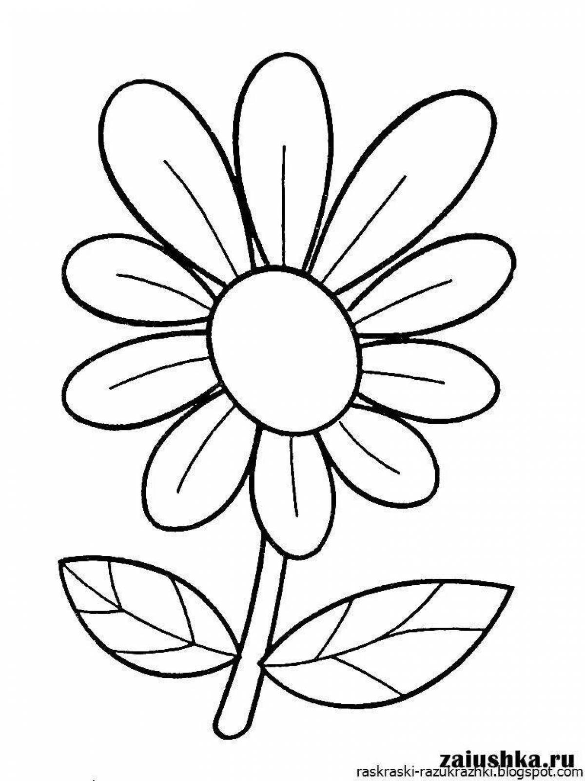 Coloring book glowing chamomile flowers