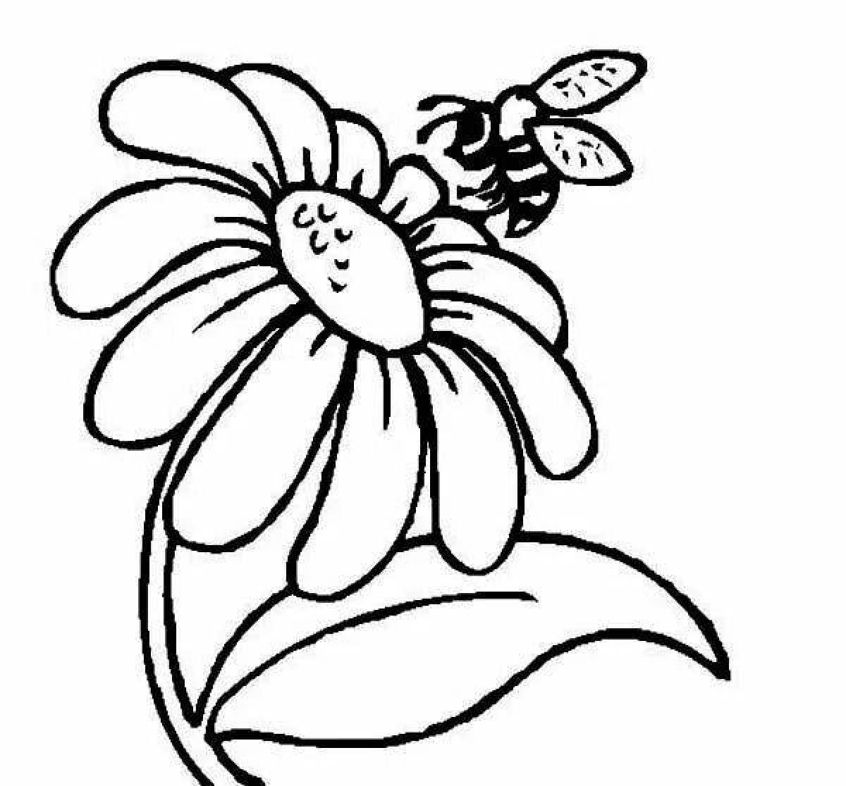 Coloring page blissful chamomile flowers