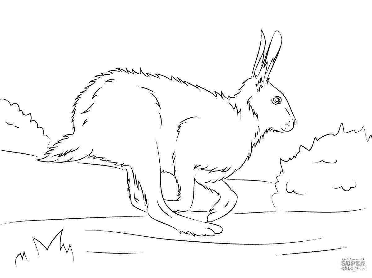 Раскраска радостный белый заяц