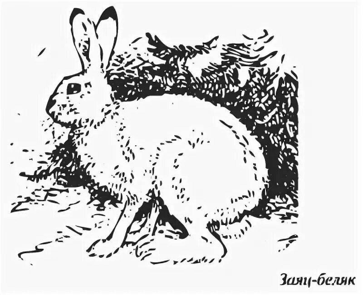 Adorable white hare coloring book