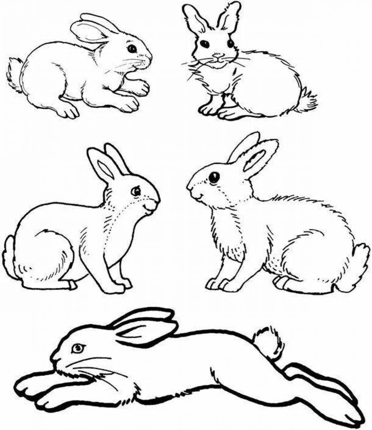 Coloring book shining white hare