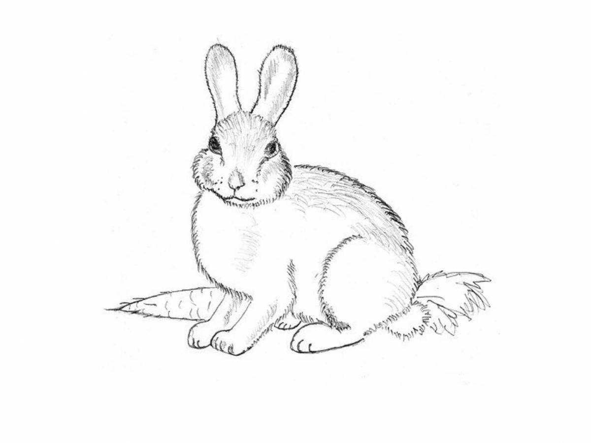 Раскраска блаженный белый заяц