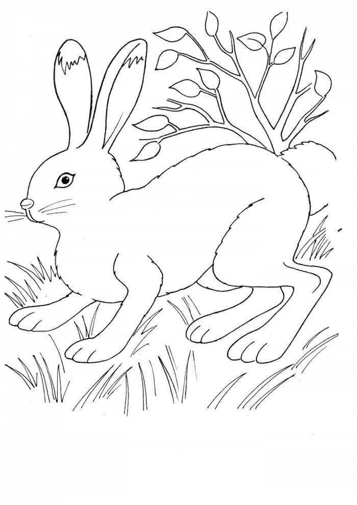 Coloring book shiny white hare