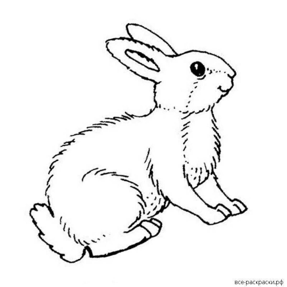 Раскраска милый белый заяц