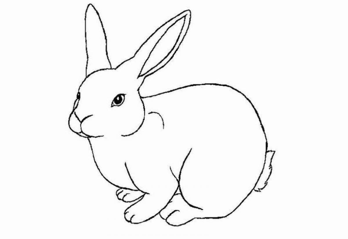 Coloring white hare
