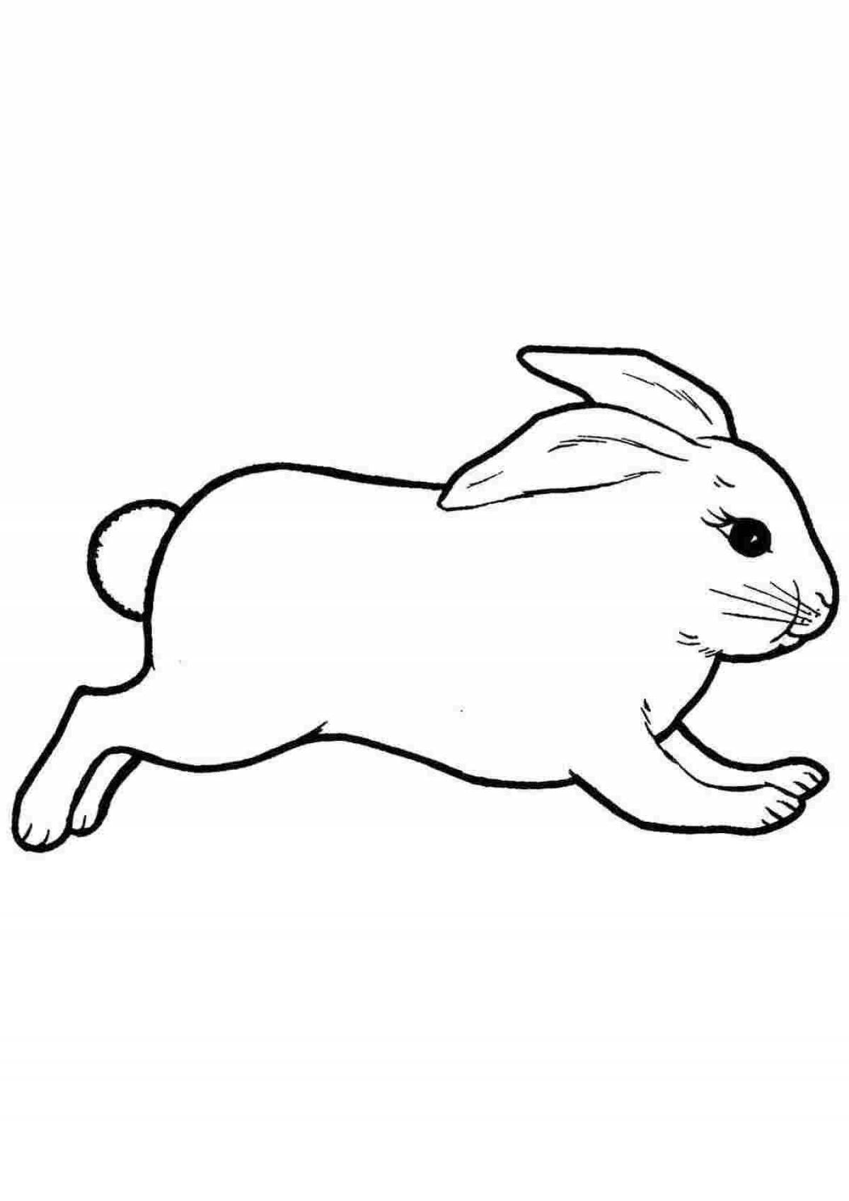 Coloring book charming white hare