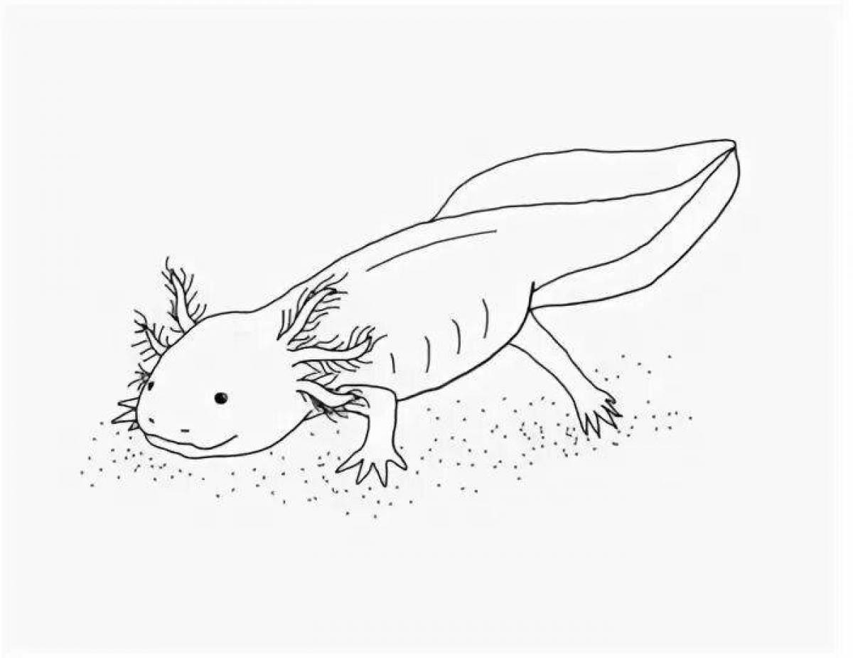 Awesome axolotl coloring book