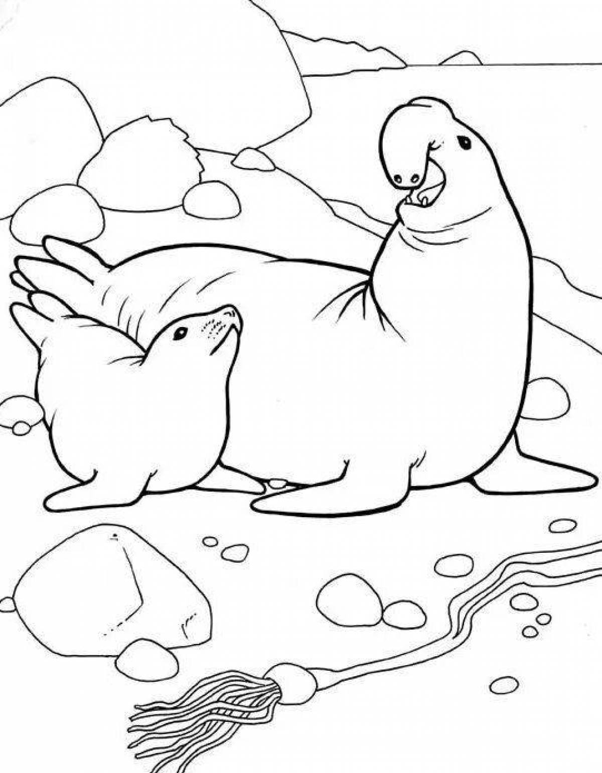 Vibrant elephant seal coloring page