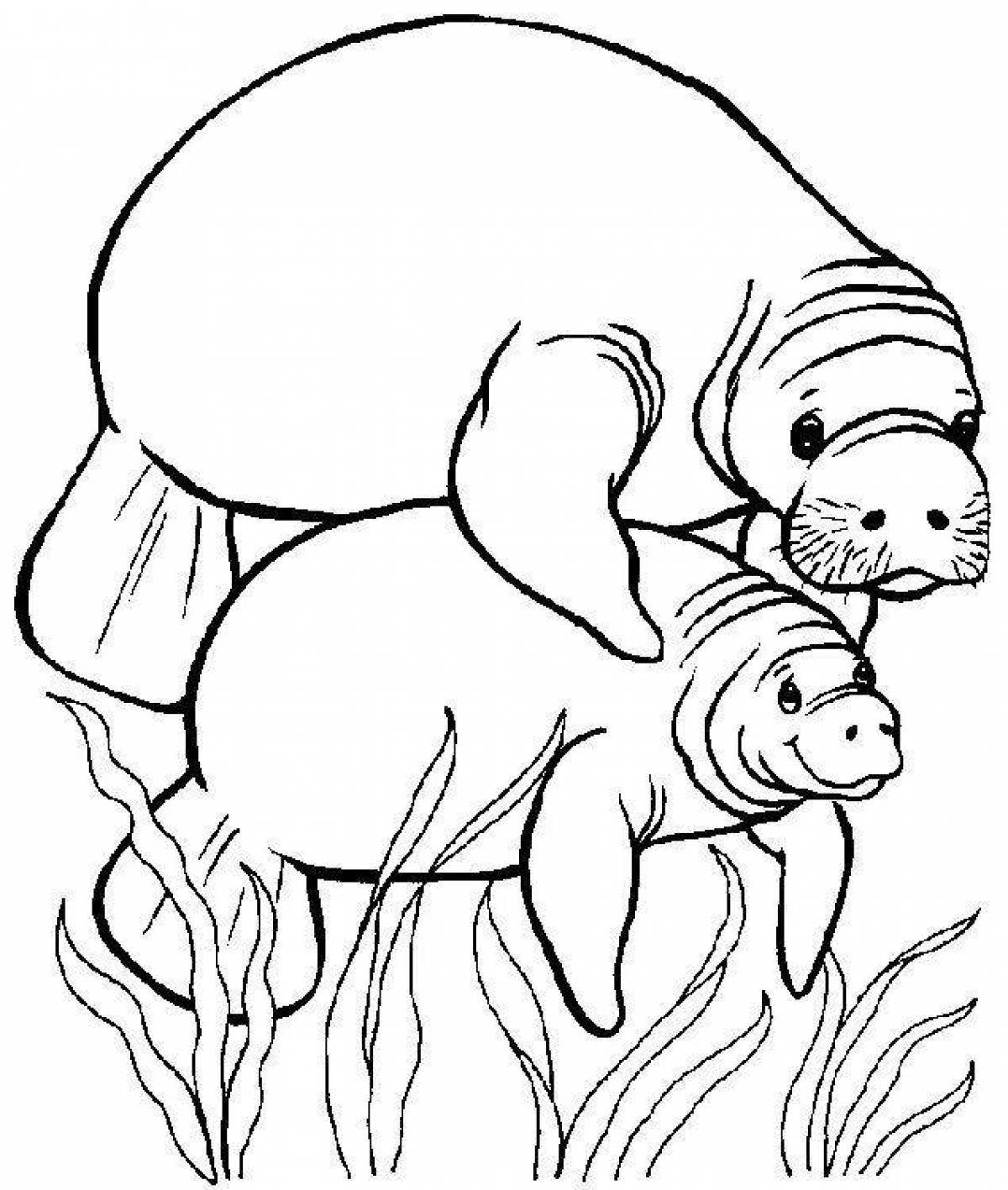Coloring page gorgeous elephant seal