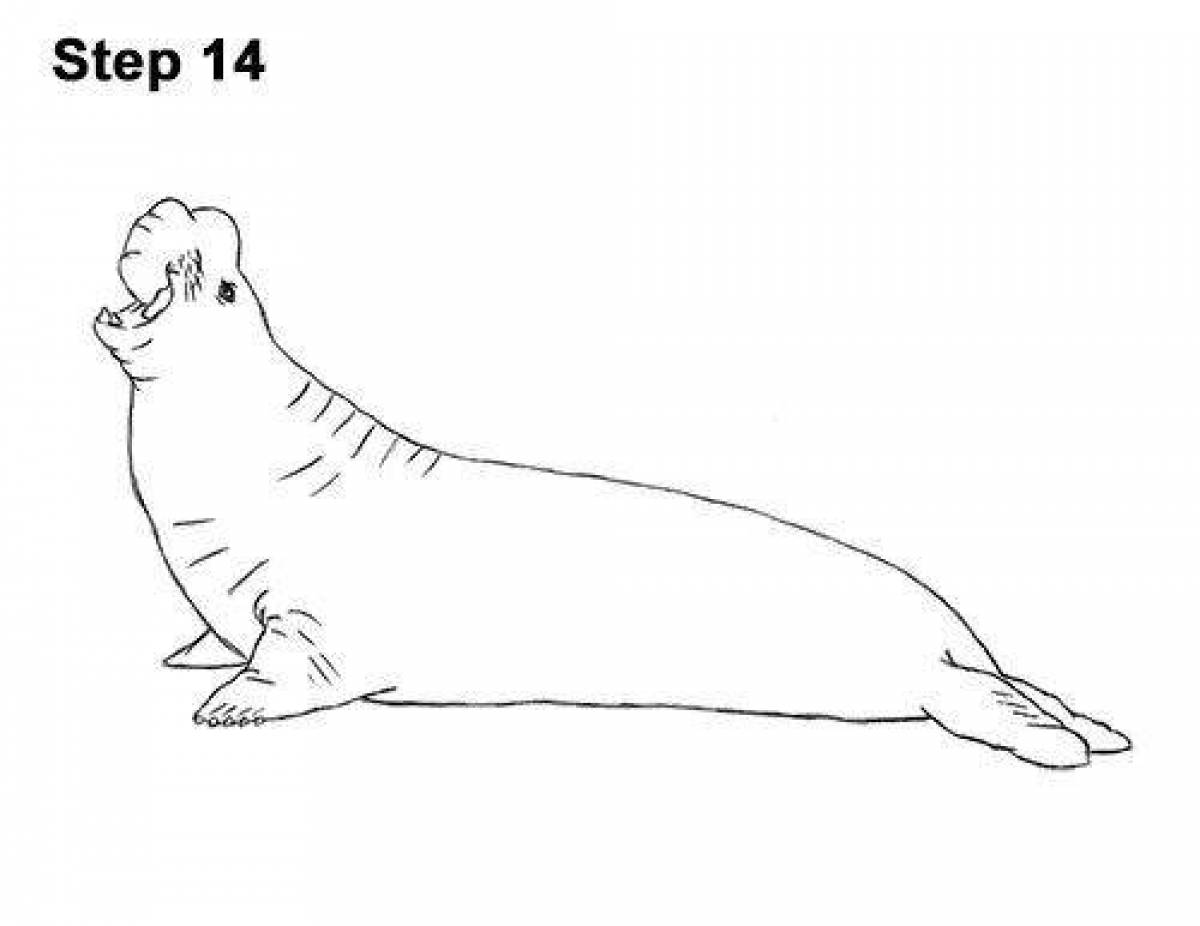Colorful elephant seal coloring page