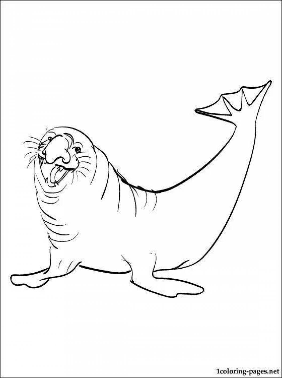 Fabulous elephant seal coloring page