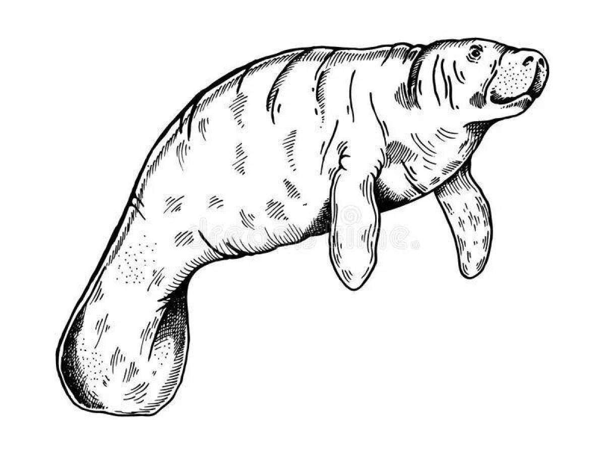 Awesome elephant seal coloring page