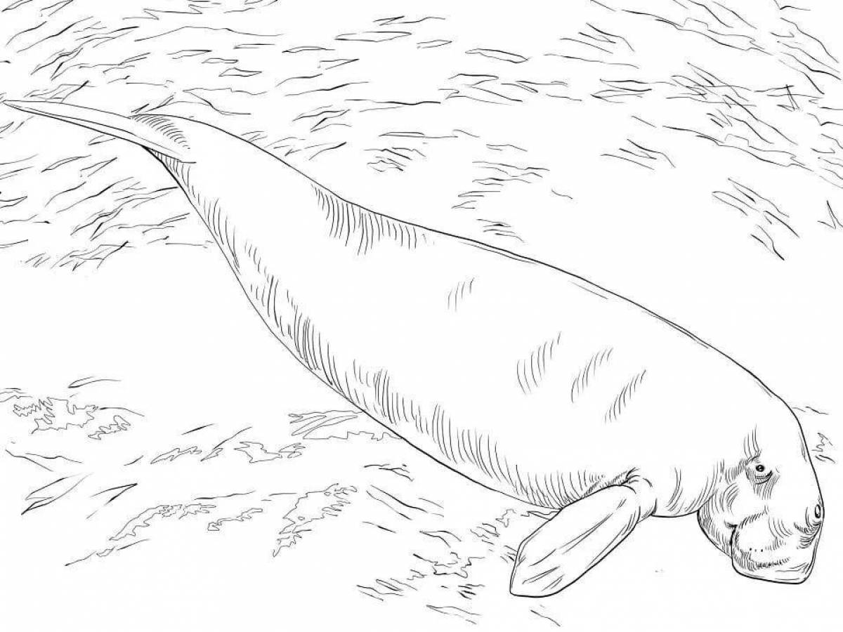 Amazing elephant seal coloring page