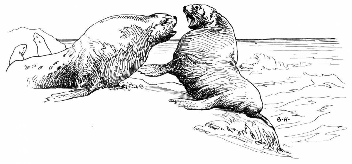 Rampant elephant seal coloring page