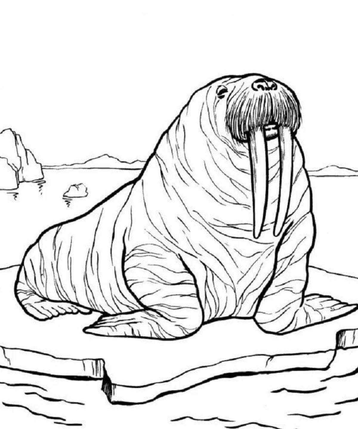 Brightly colored elephant seal coloring page