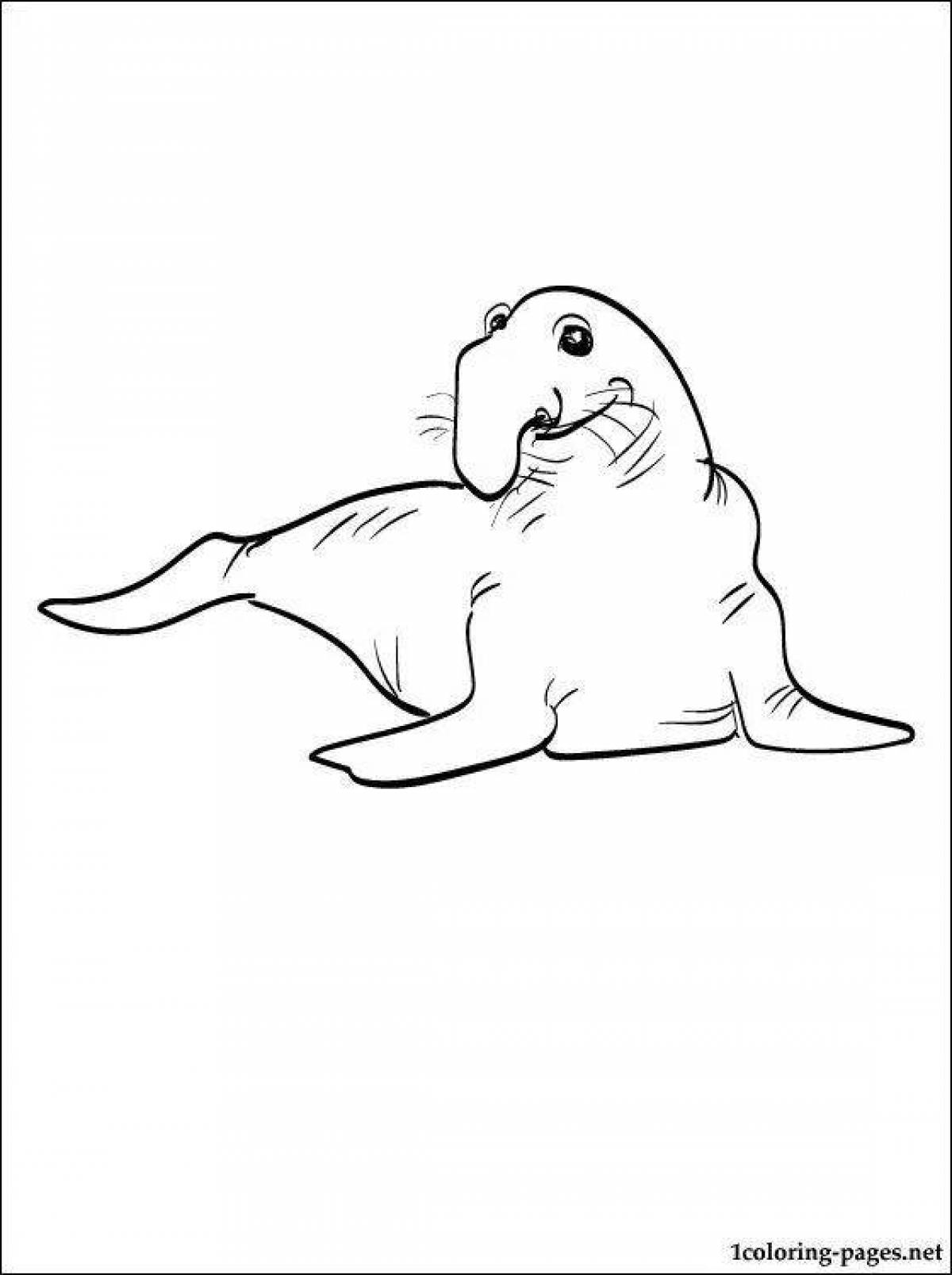 Elephant seal #3