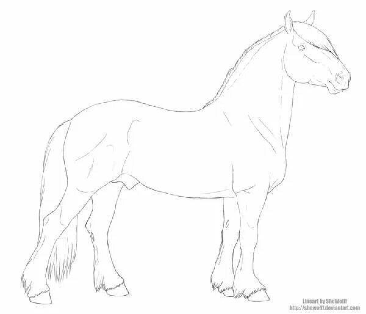 Coloring book exquisite Przewalski's horse