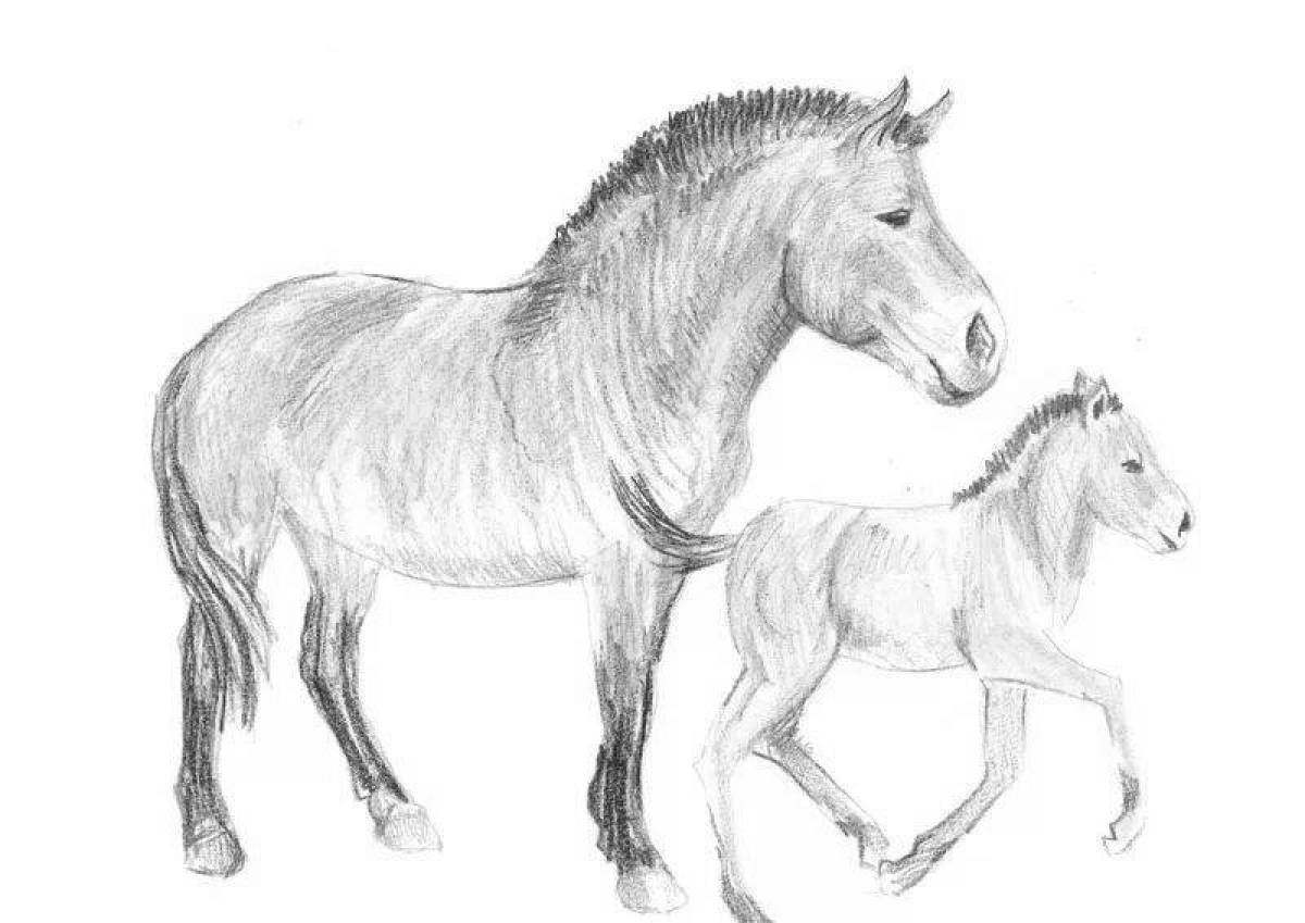 Потрясающая страница раскраски лошади пржевальского