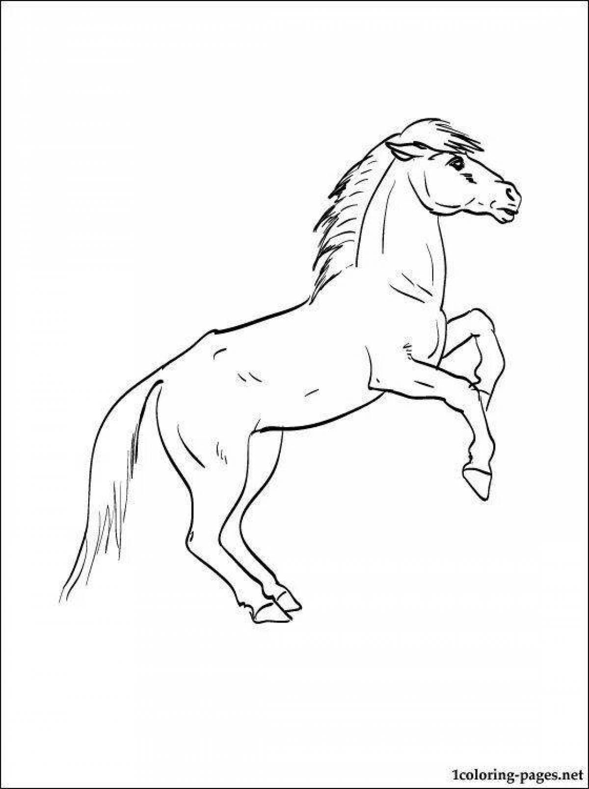 Раскраска гениальной лошади пржевальского