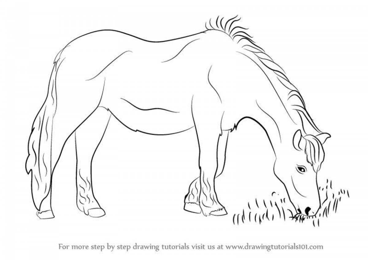 Раскраска очаровательная лошадь пржевальского