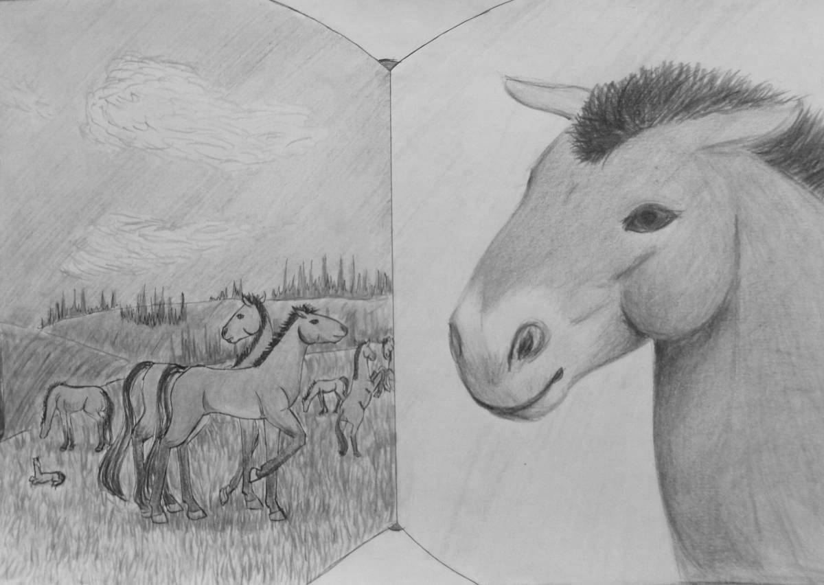 Prizewalski's beckoning horse coloring page