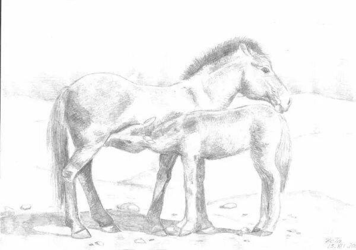 Coloring page impressive Przewalski's horse