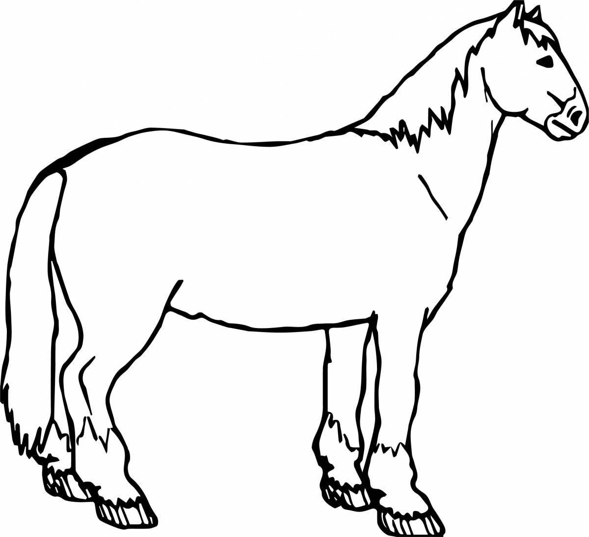 Раскраска эффектная лошадь пржевальского