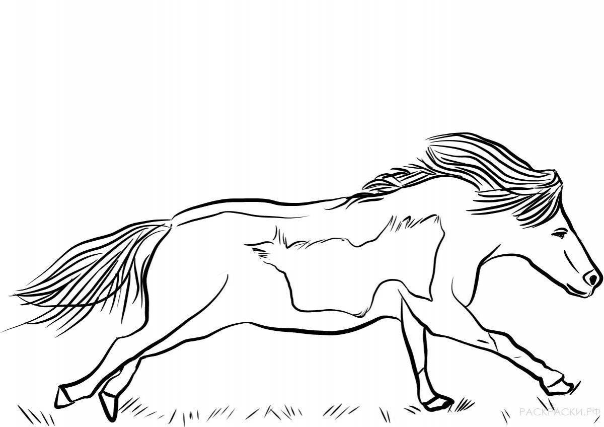 Раскраска блестящая лошадь пржевальского