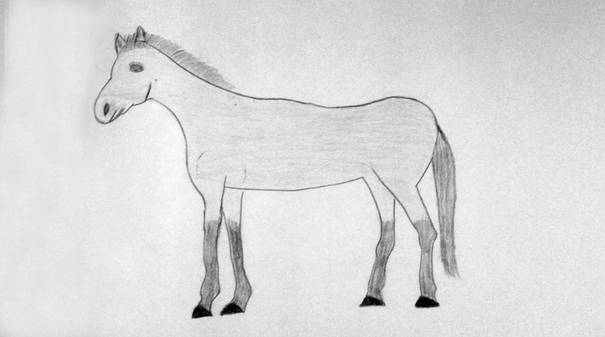 Brilliant coloring of Przewalski's horse