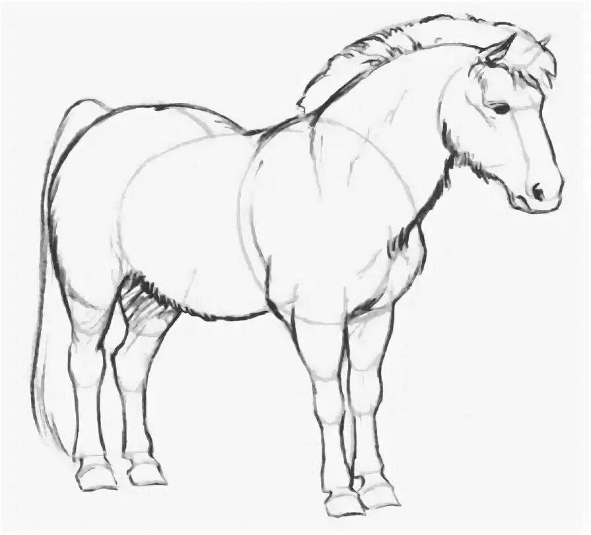 Coloring page majestic Przewalski's horse
