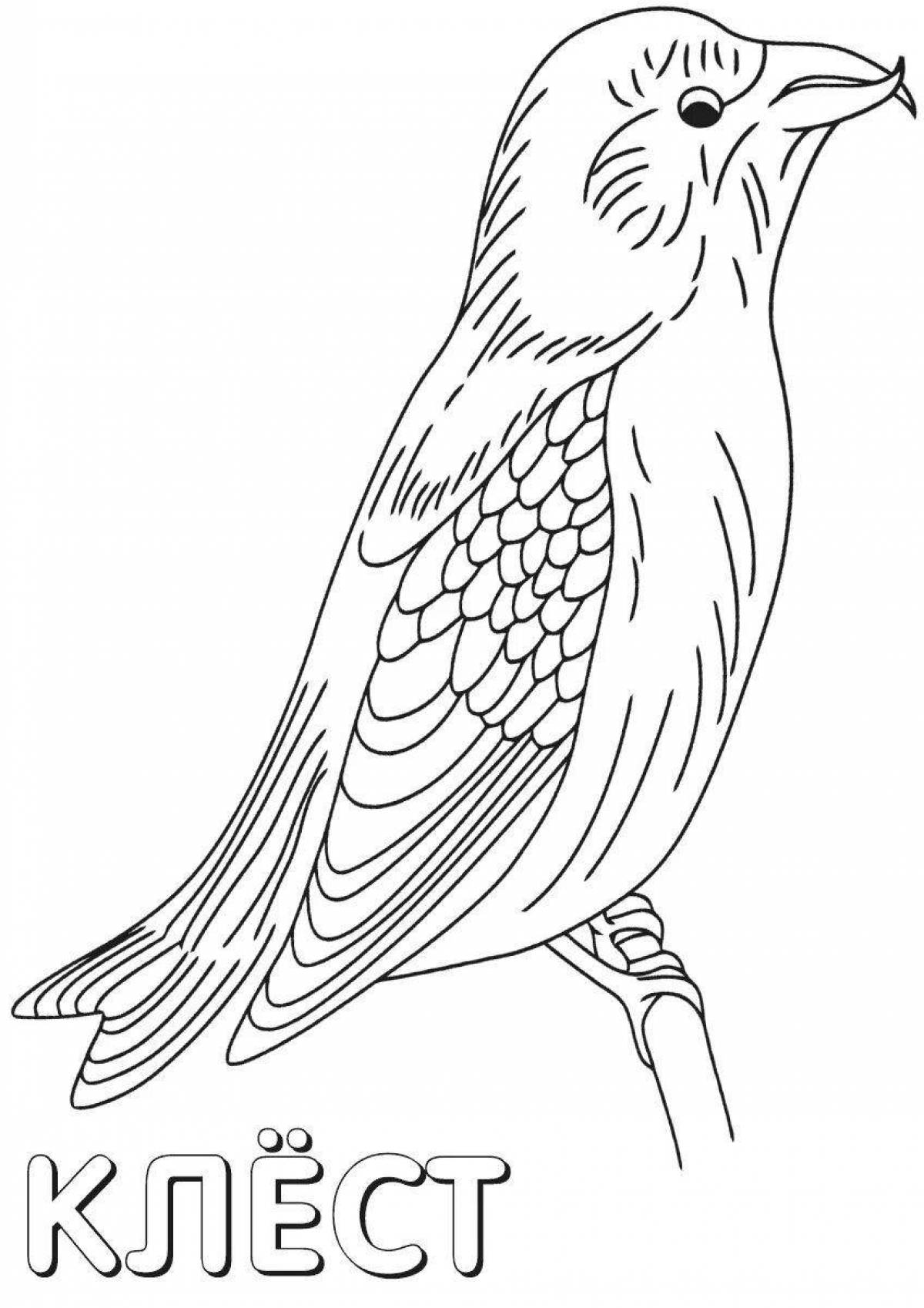 Coloring book awesome crossbill