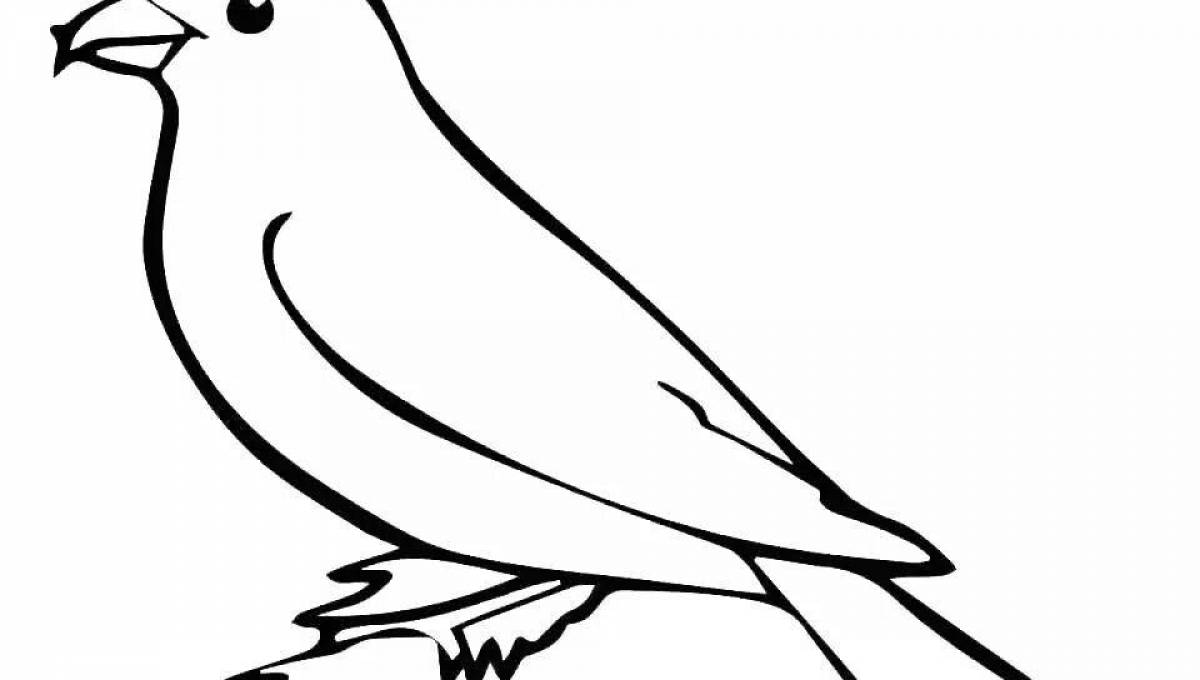 Amazing crossbill coloring page